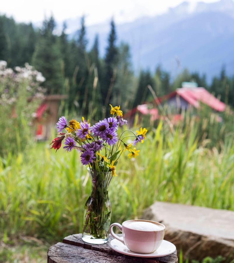 Heather Mountain Lodge Rogers Pass Экстерьер фото