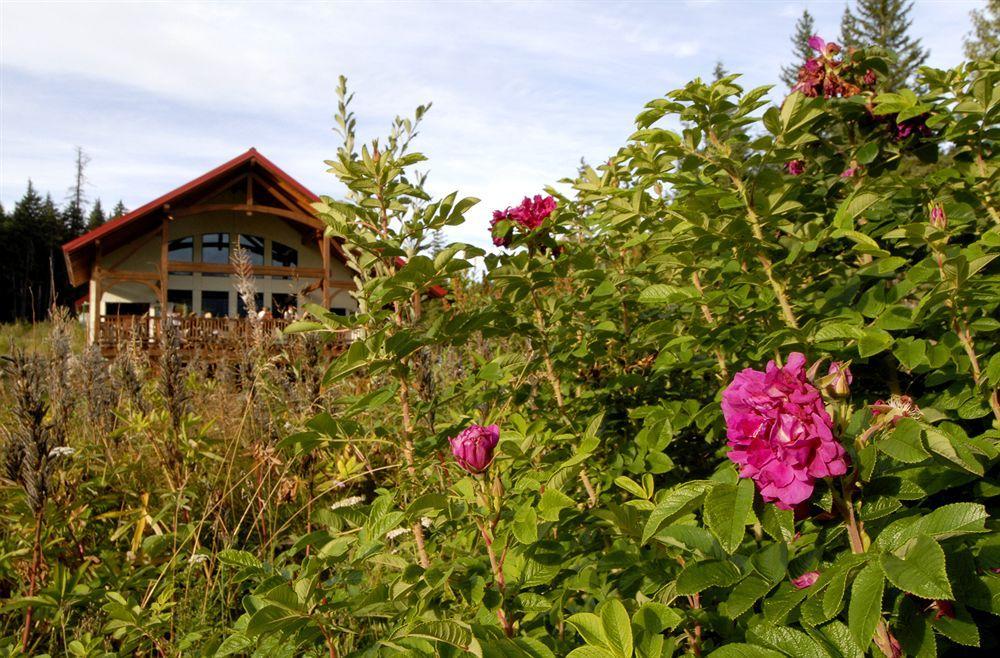 Heather Mountain Lodge Rogers Pass Экстерьер фото